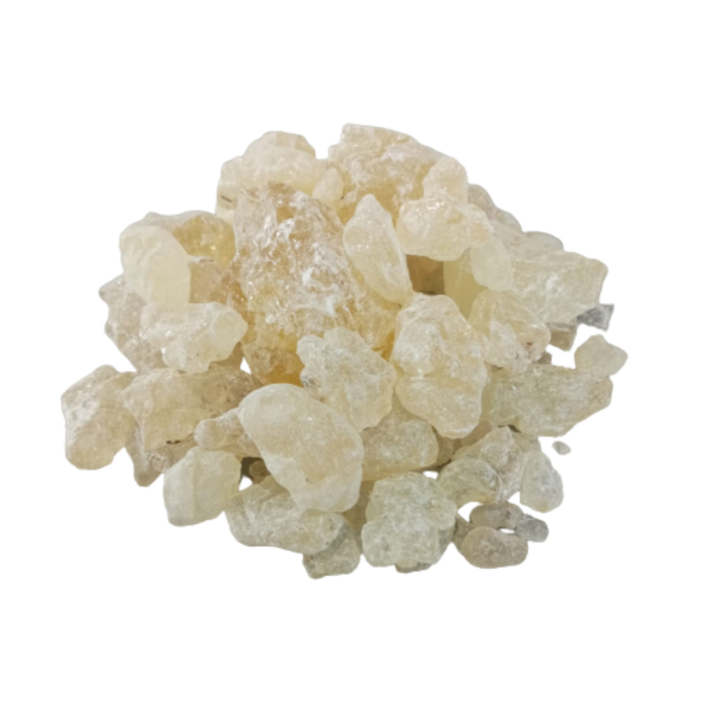gum damar