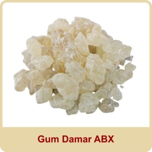 Gum Damar abx