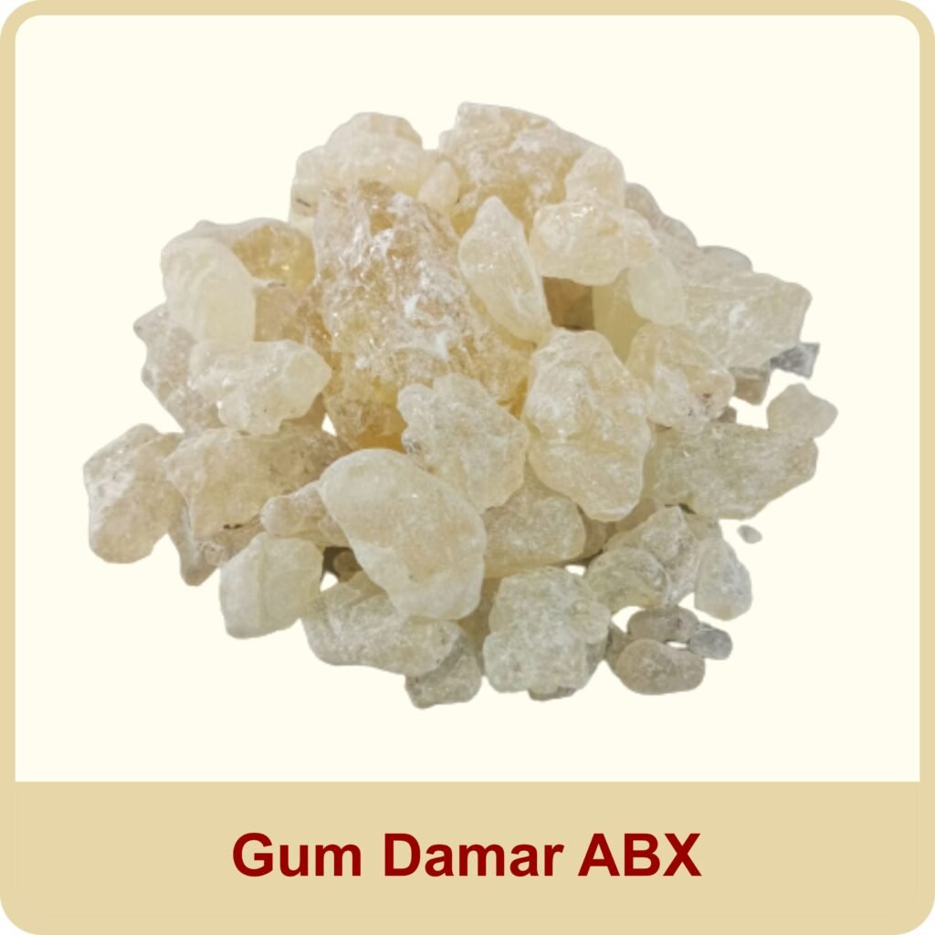 gum damar abX
