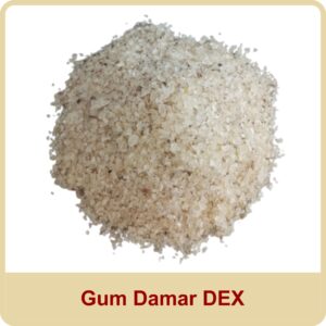 gum damar dex