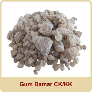 gum damar ck kk