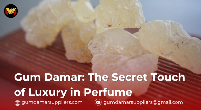 gum damar