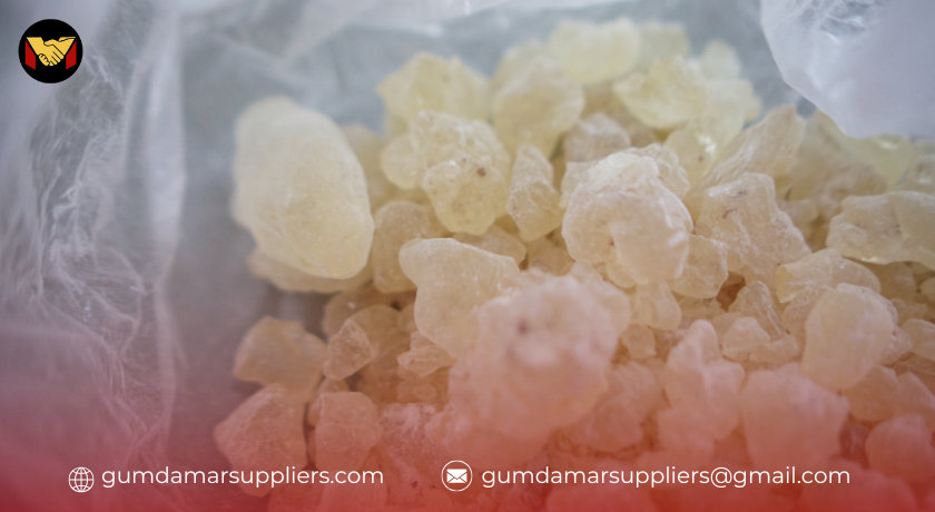 gum damar