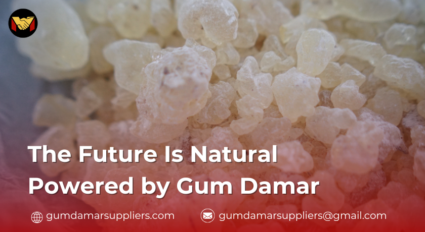 gum damar