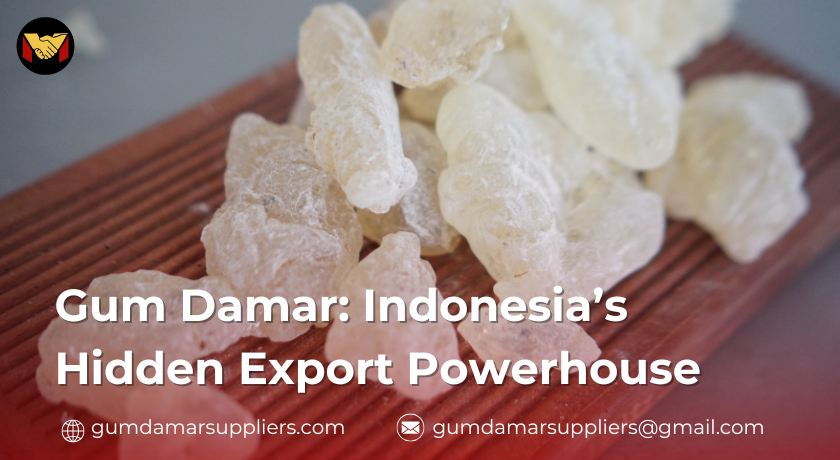 gum damar