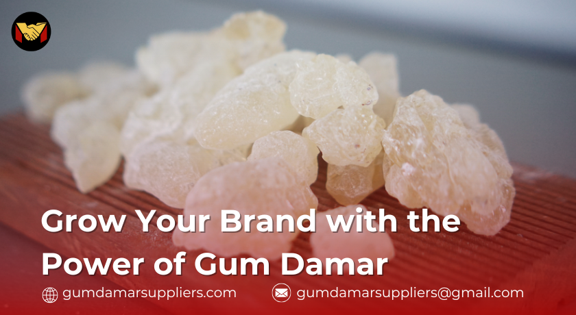 gum damar