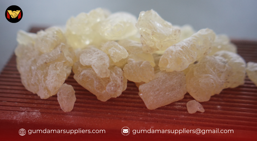 gum damar