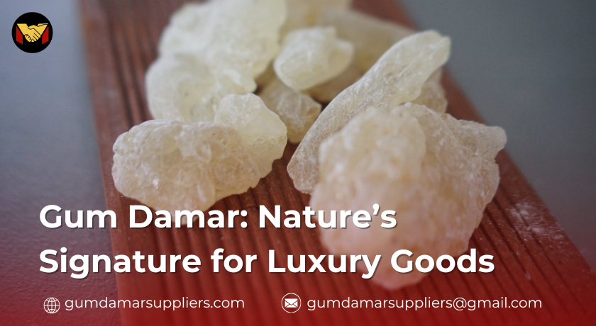 gum damar