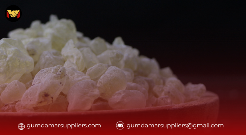 gum damar