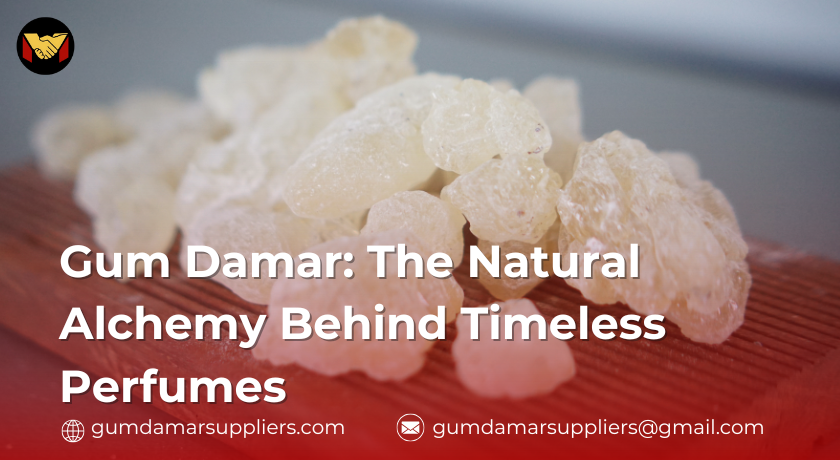 gum damar