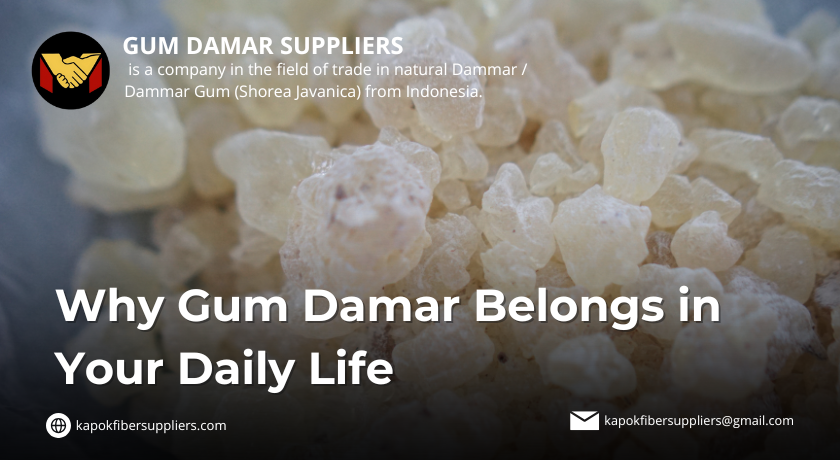 gum damar
