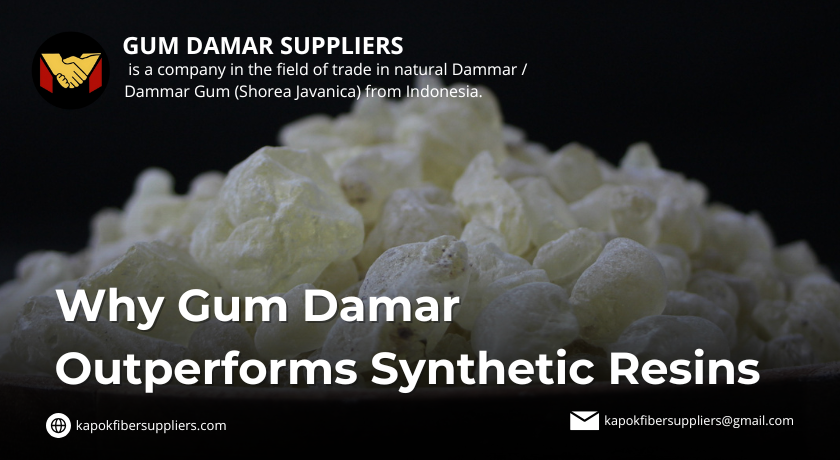gum damar