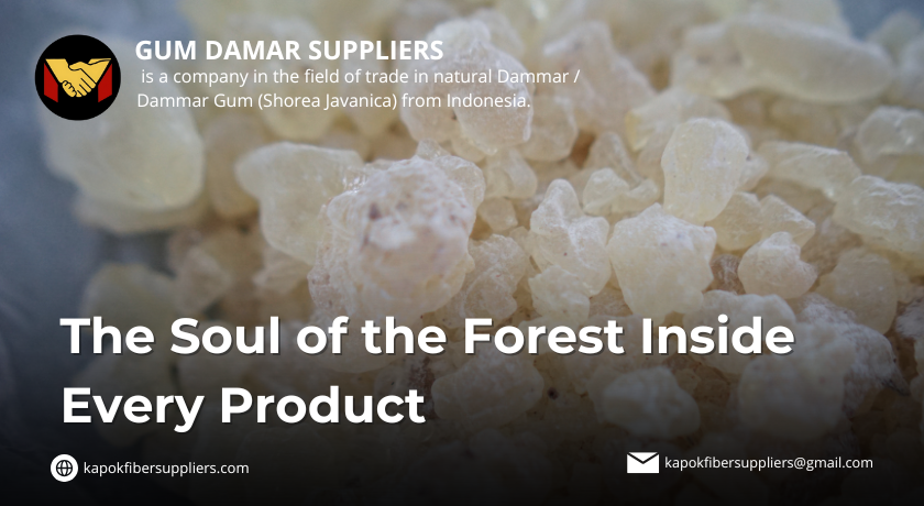 gum damar
