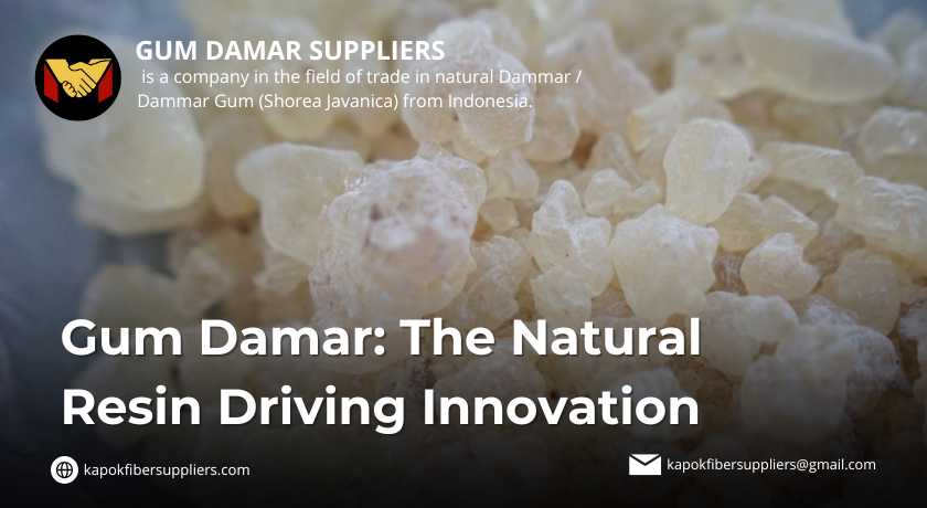 gum damar