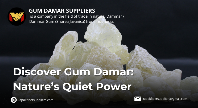 gum damar