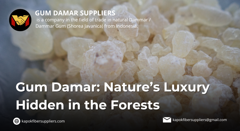 gum damar