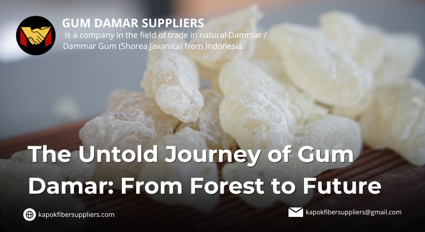 gum damar