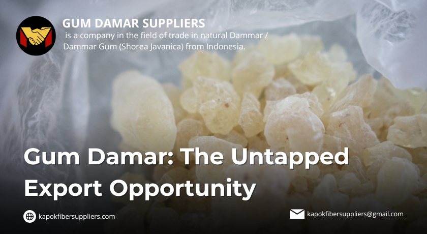 gum damar