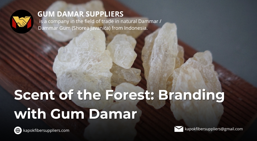 gum damar