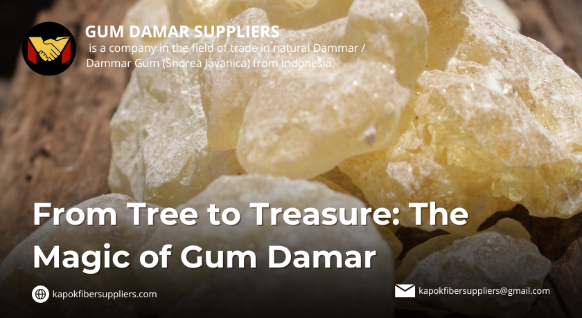 gum damar