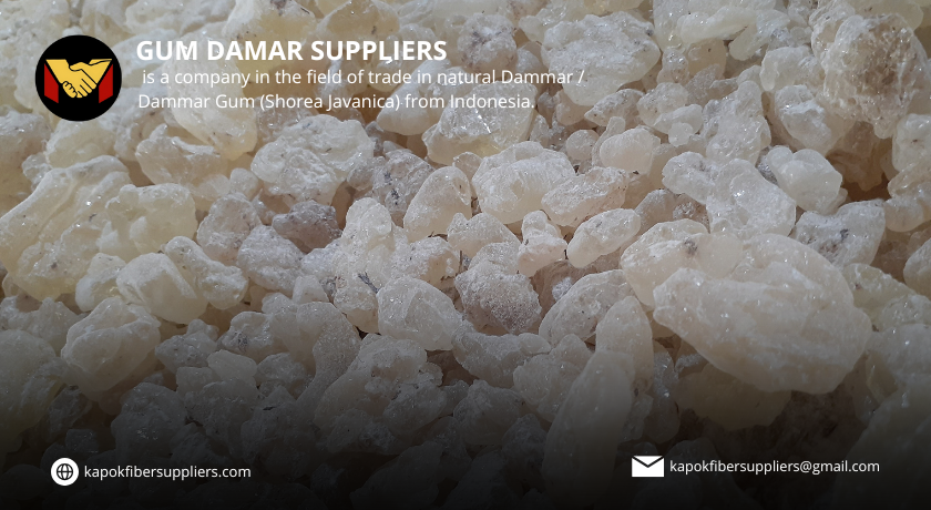 gum damar