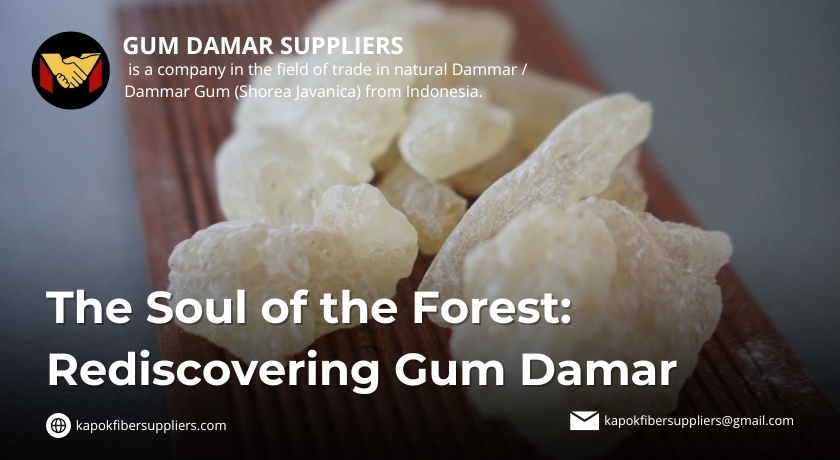 gum damar