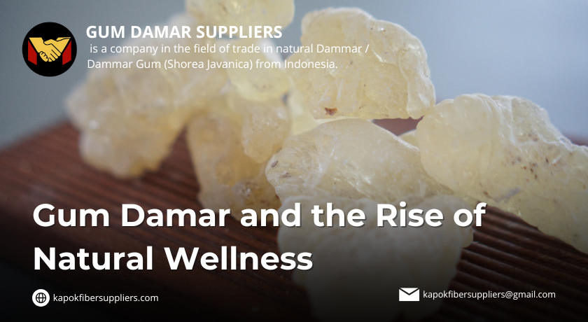 gum damar
