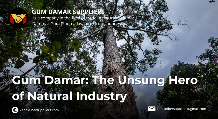 gum damar
