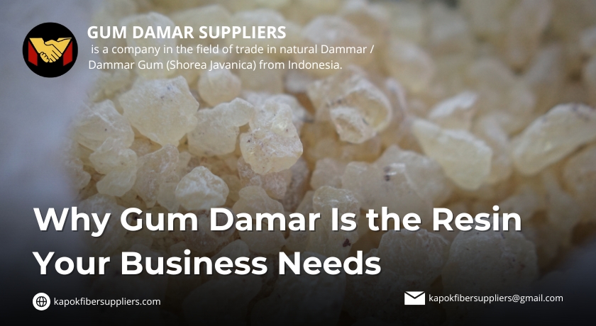 gum damar
