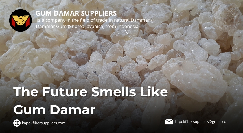 gum damar