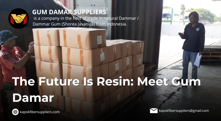 gum damar