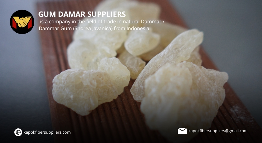 gum damar