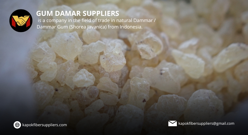 gum damar