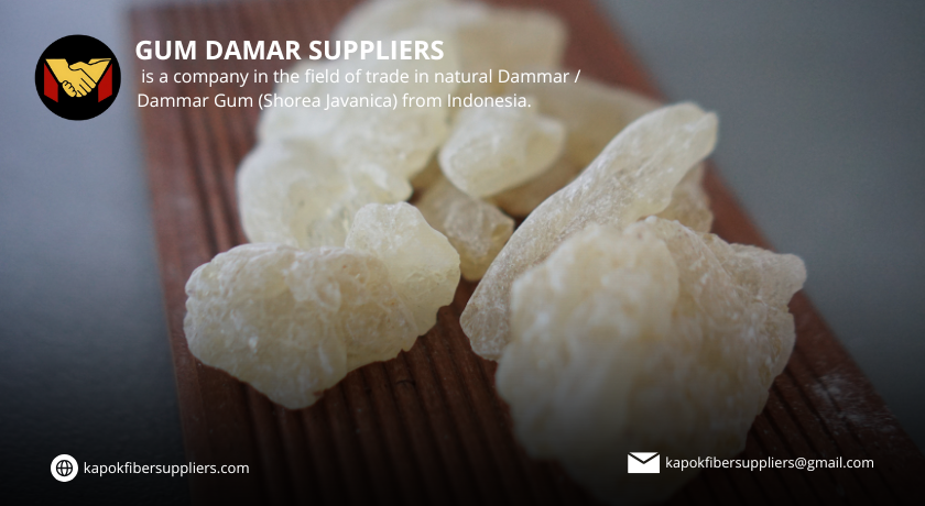 gum damar