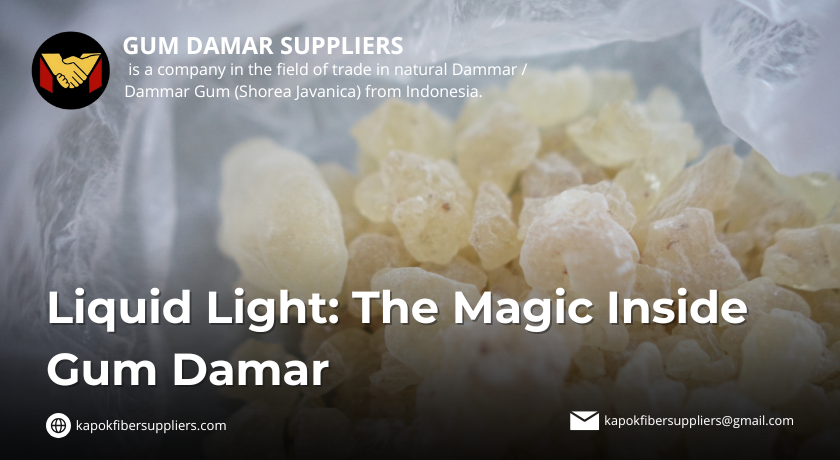 gum damar