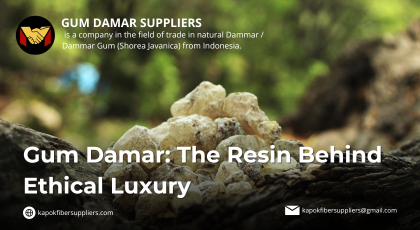 gum damar