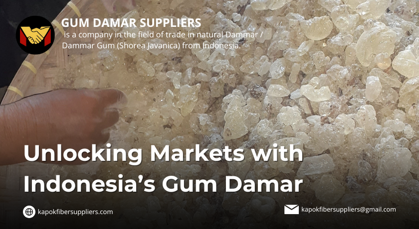 gum damar