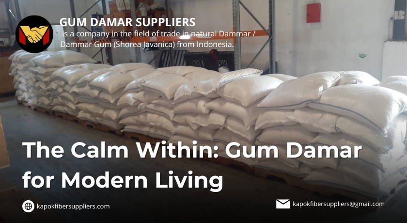 gum damar