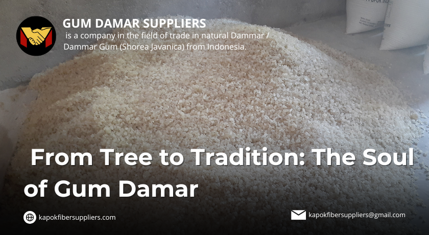 gum damar