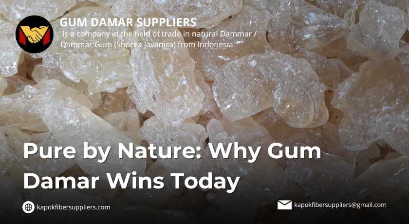 gum damar