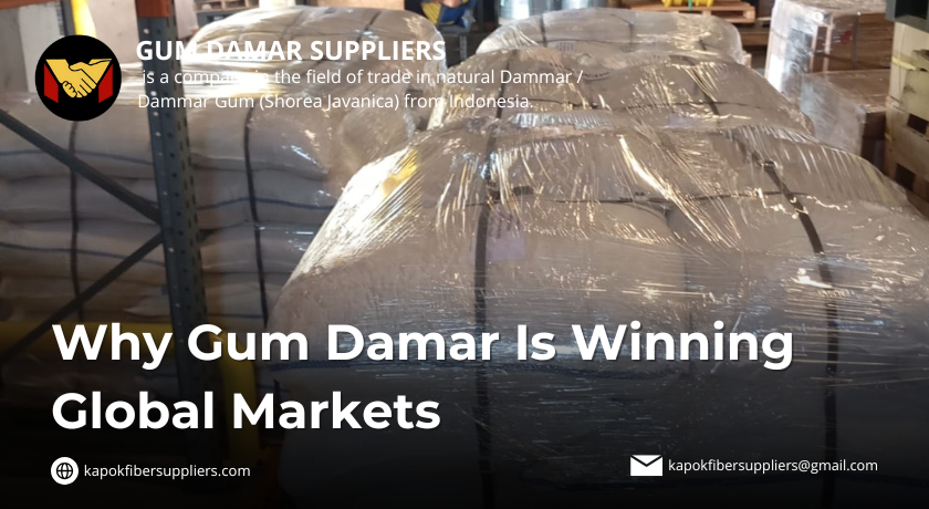 gum damar