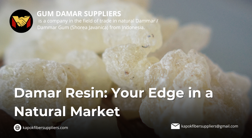 gum damar