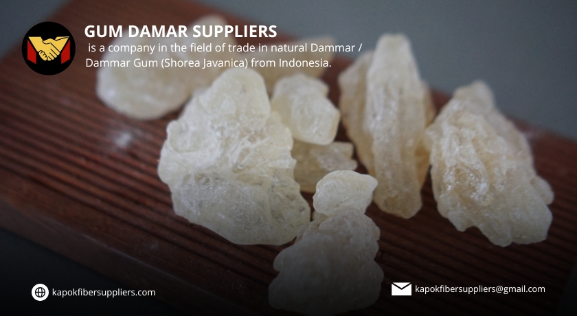 gum damar