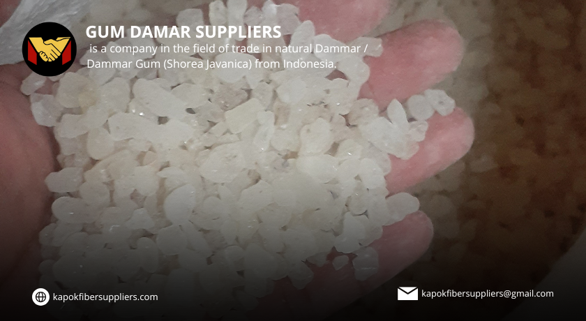 gum damar