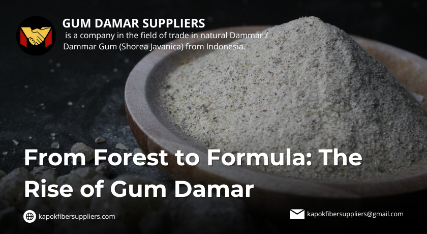 gum damar