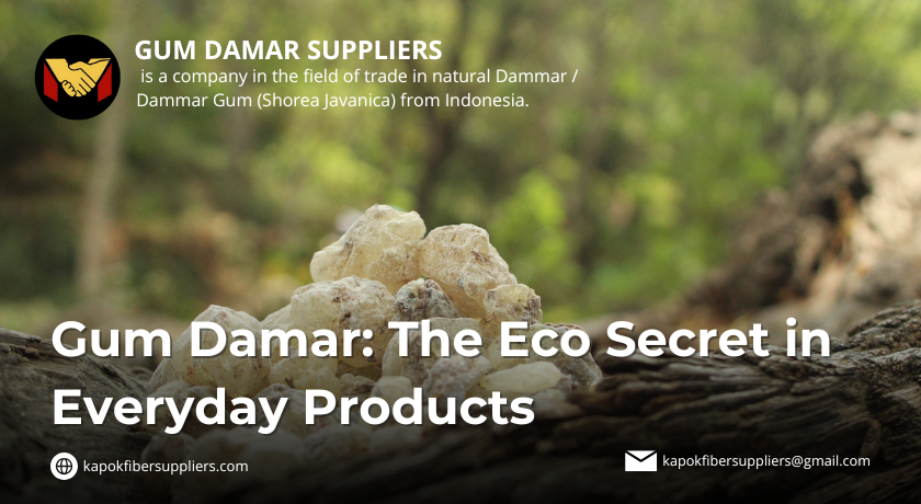 gum damar