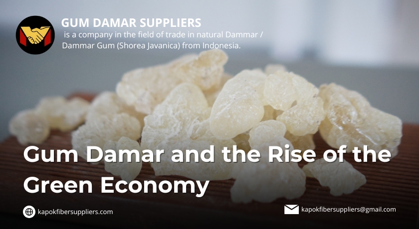 gum damar