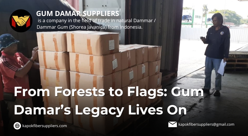gum damar