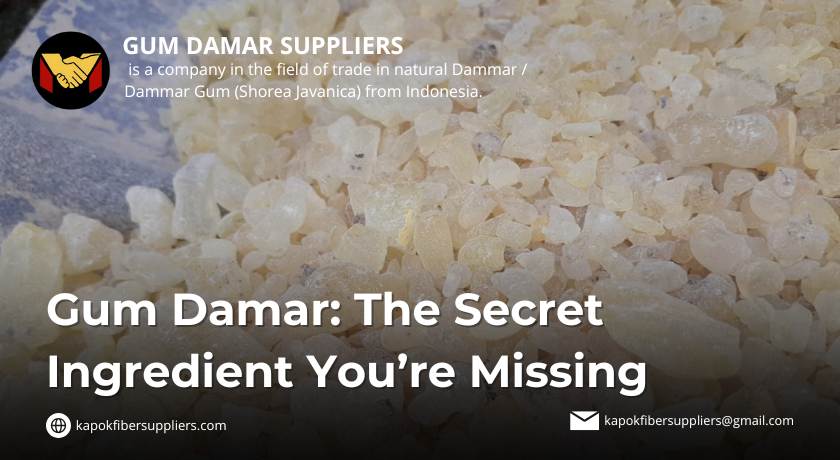 gum damar