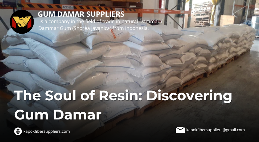 gum damar